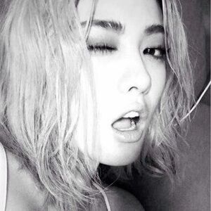 Meet your Posher, Saffron